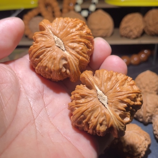 白狮子狮子头边45