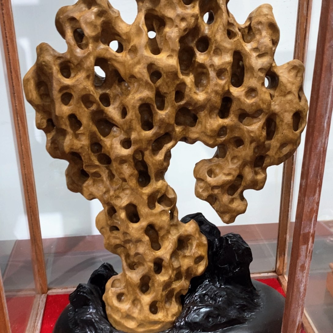 大叶紫檀（黑酸枝木类）