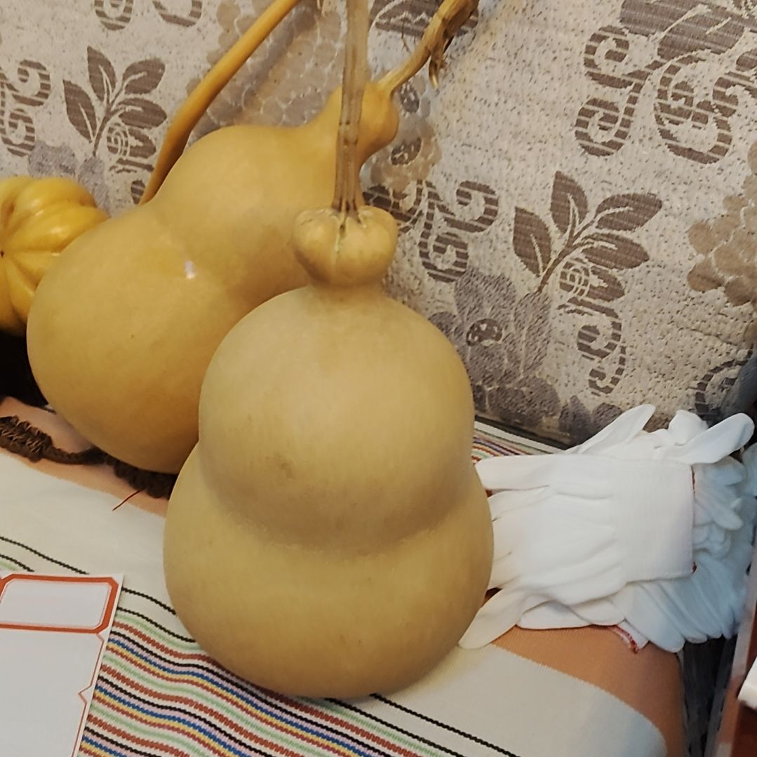 大***.有机玻璃特价胖墩墩，不退不换