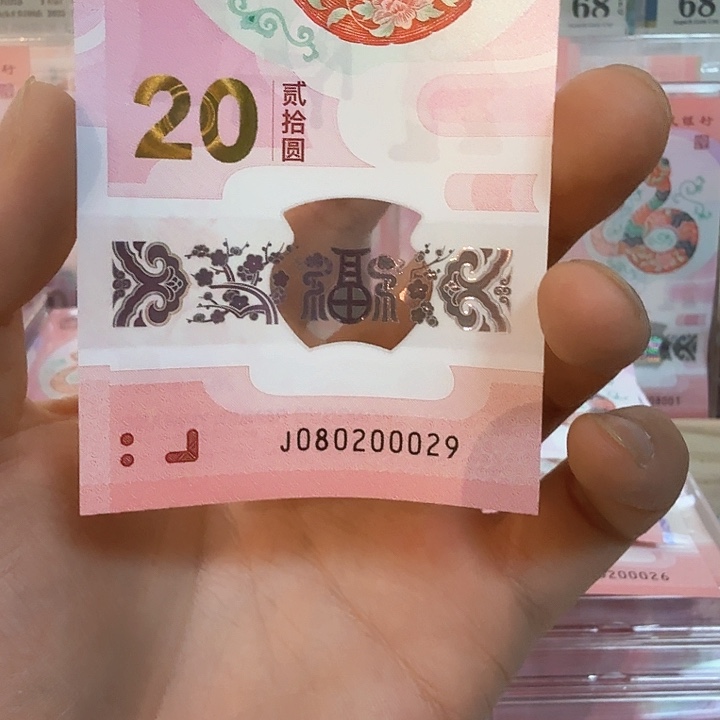 塑料小蛇钞号码080200029