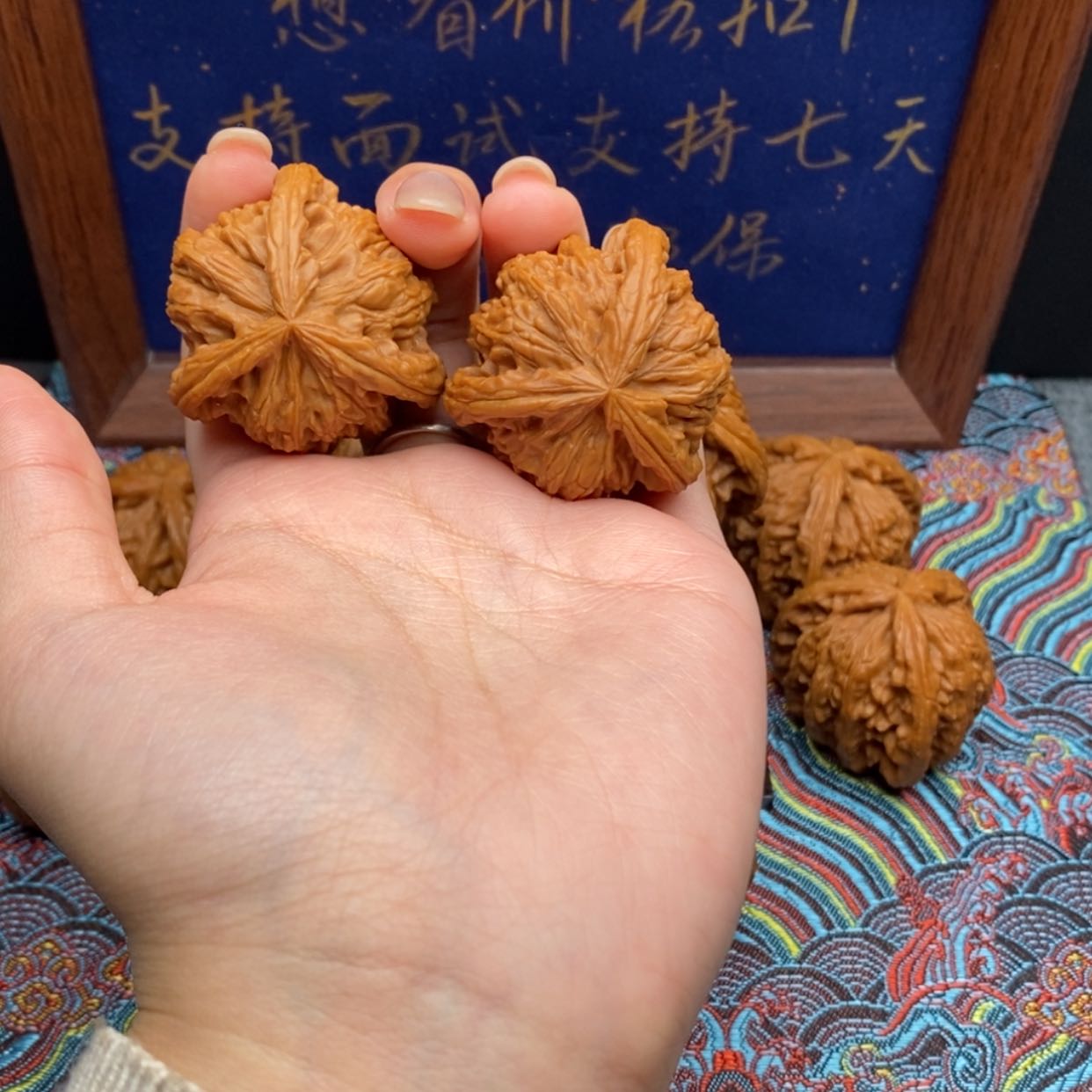 【闪购商品】三**腻白狮