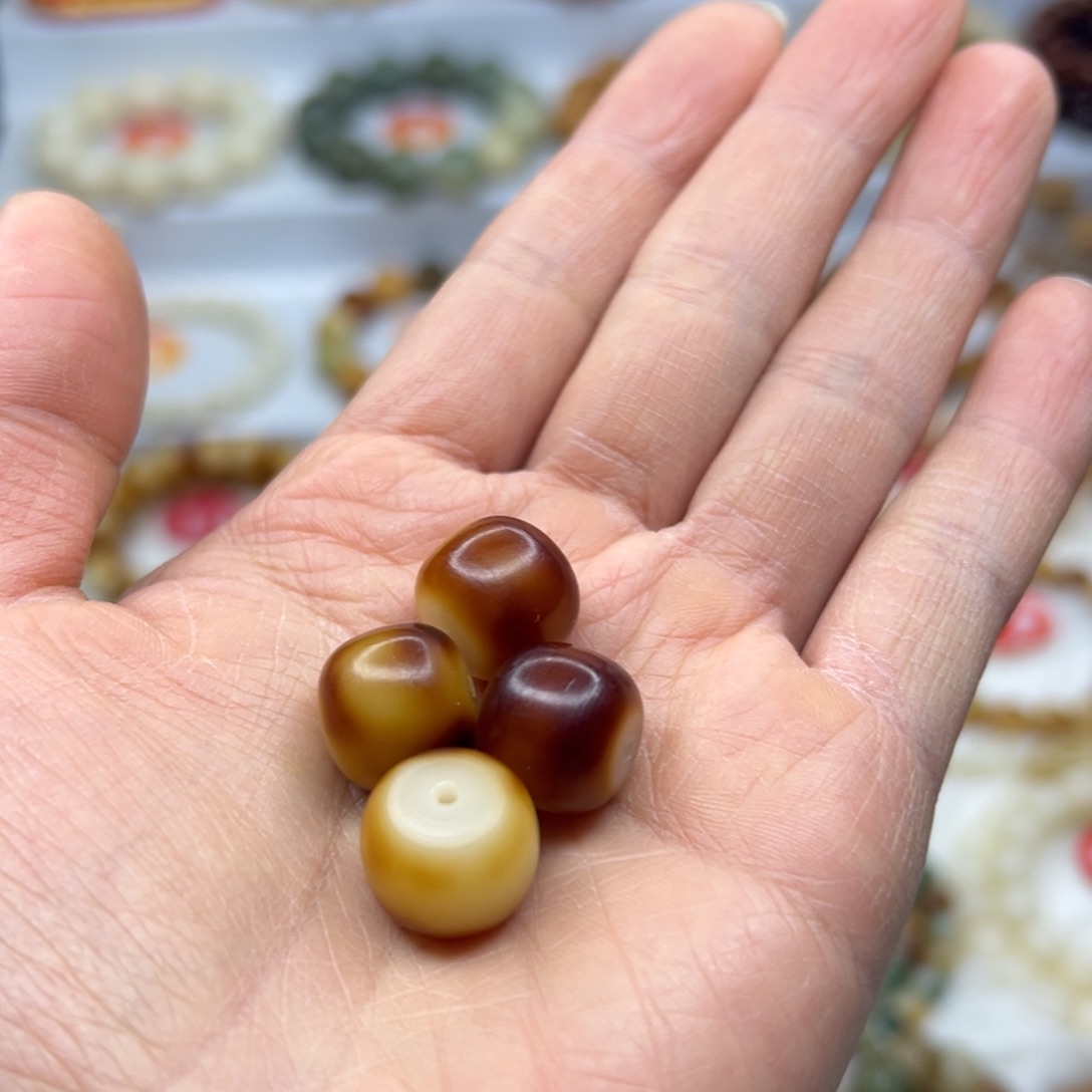 王***宇菩提根/象牙果手串