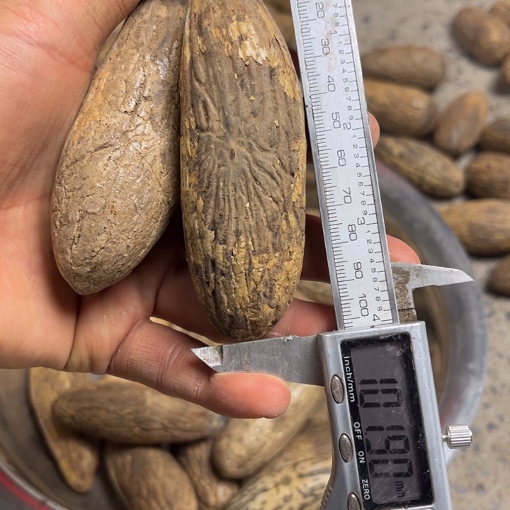 吊坠千眼菩提千眼菩提，67 号。