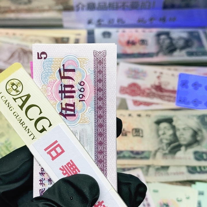 皮皮直播专场精选福利100