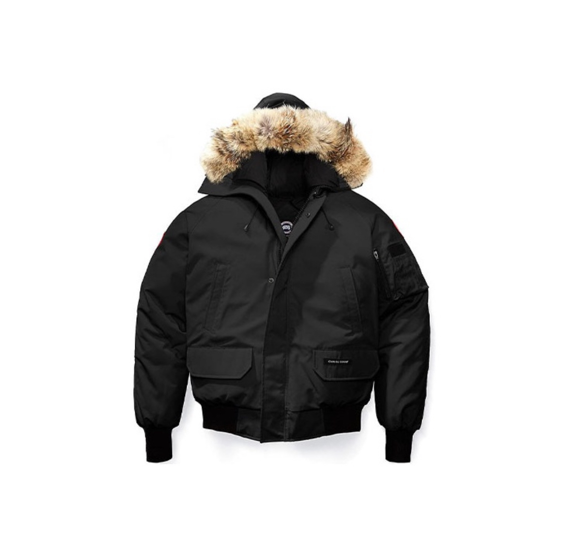 95新 加拿大鹅 Tsan0231/连帽短款羽绒服/尺码S