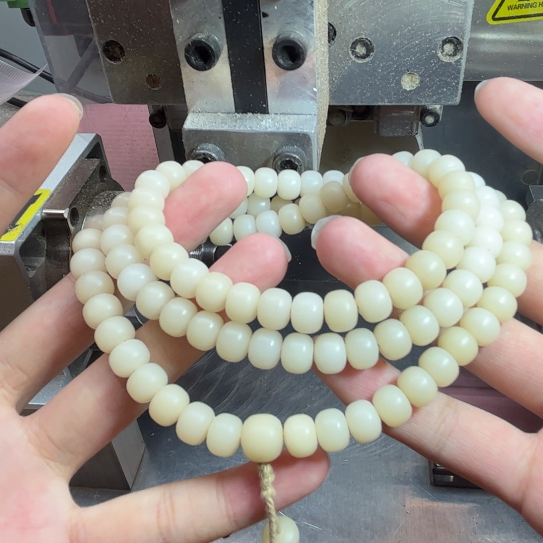 吊坠菩提根/象牙果