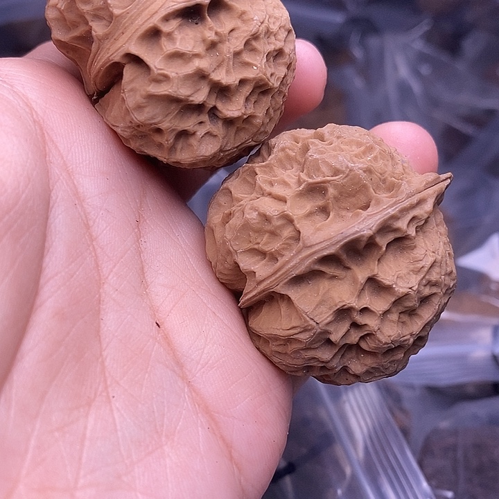 文玩核桃把件  161