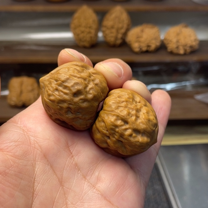 核桃古蝉修打底31.31.30