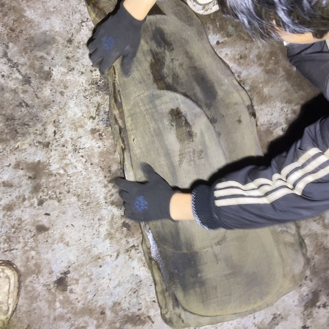 阴沉木小叶桢楠毛料