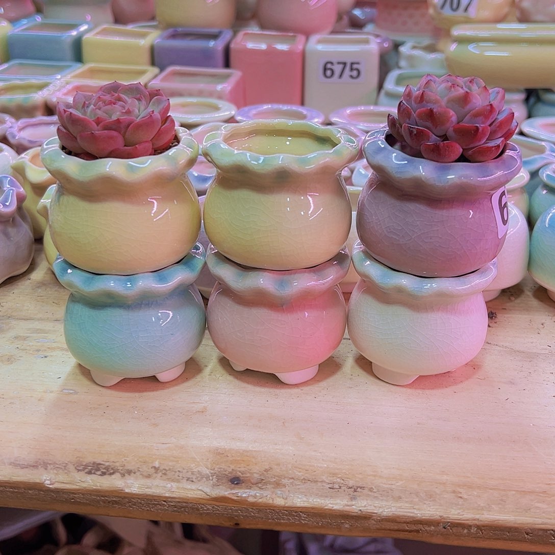 陶瓷花盆当场凑满12包邮