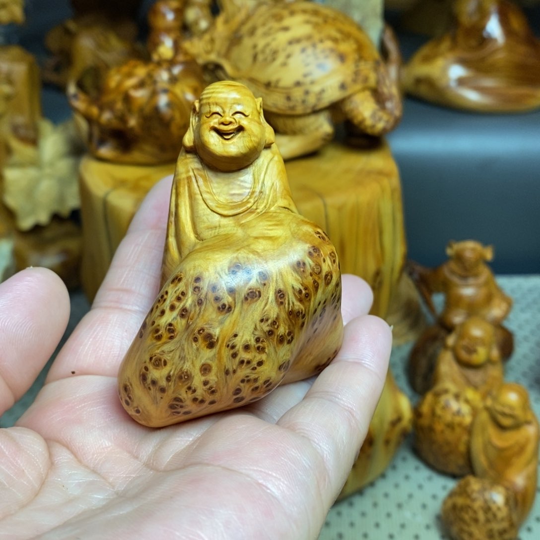 柏木（崖柏）太行山上