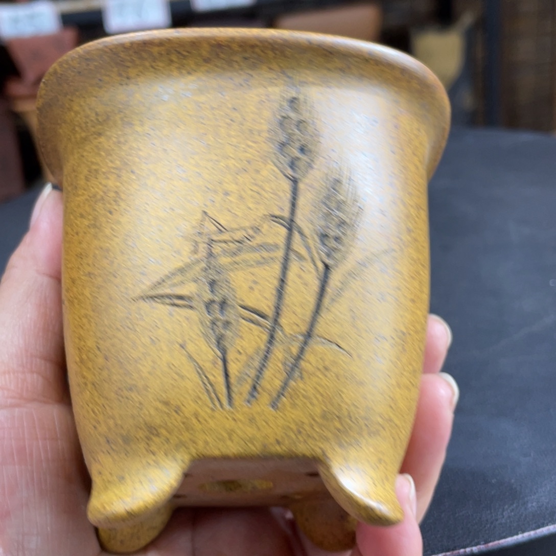 紫砂花盆紫砂花盆在这里