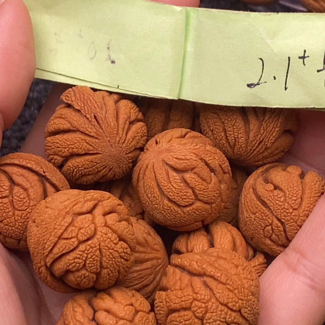 秦岭山脉龙纹桃核 13