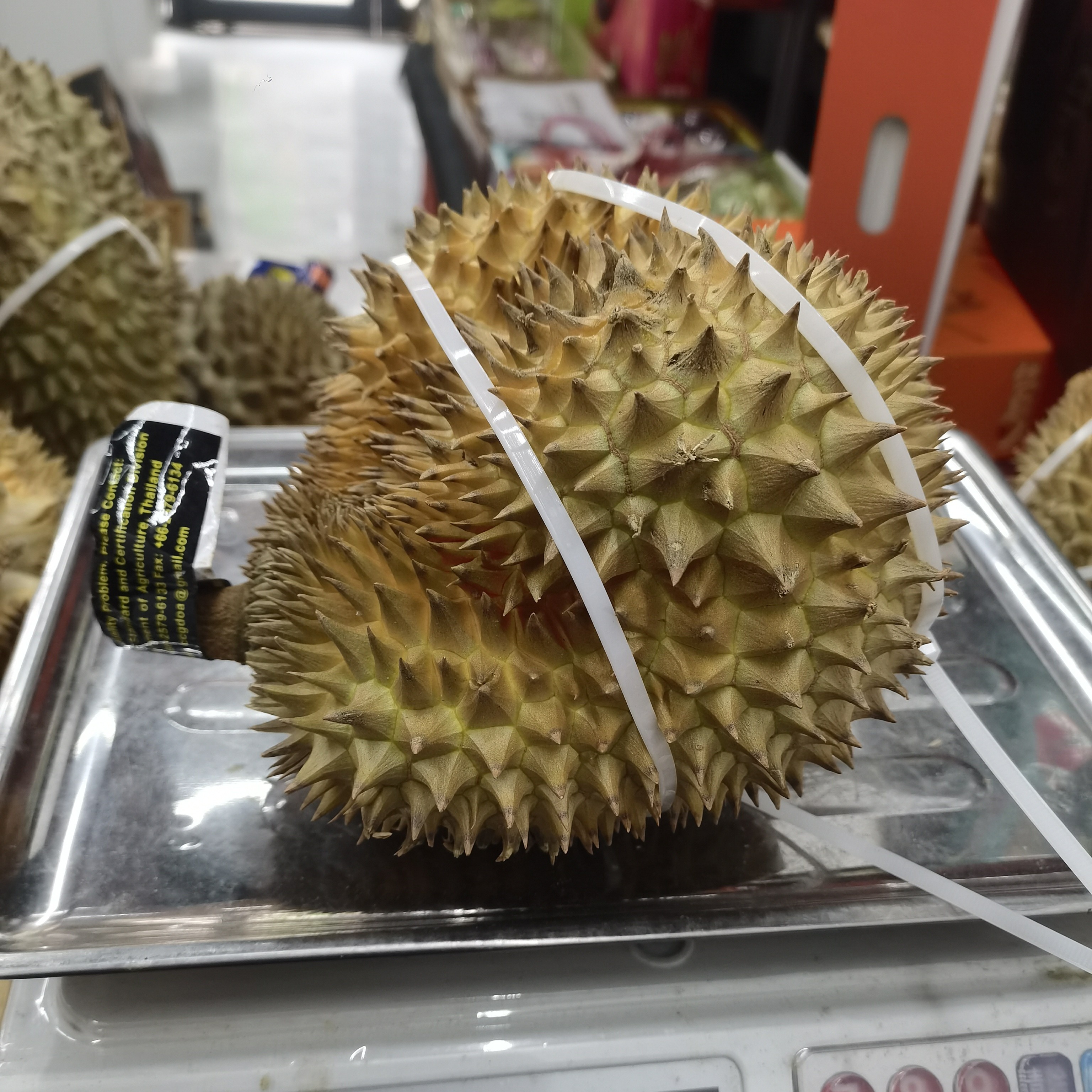泰国树熟金枕榴莲49.9