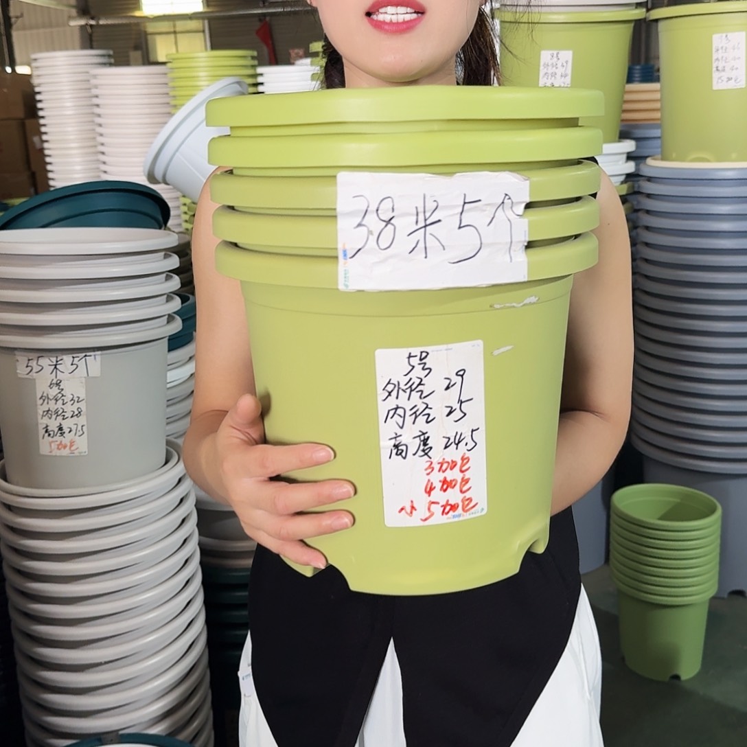 微瑕5#无拖果绿6个