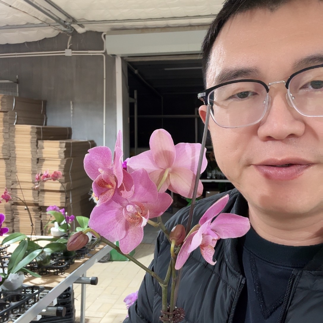 七****完全开放加里曼丹➕布雷德索