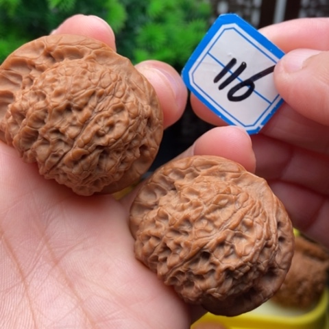 文玩核桃吊坠血麒麟41