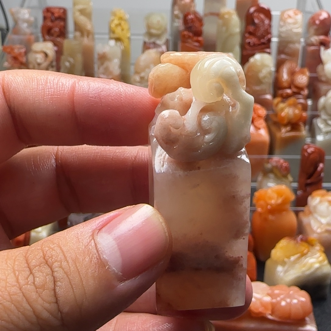 老挝石灵芝  2.1×5.7