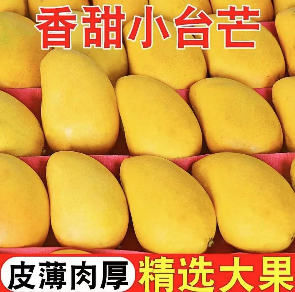 【香甜小台芒】新鲜现摘与南岸台芒当季热带果带箱6斤