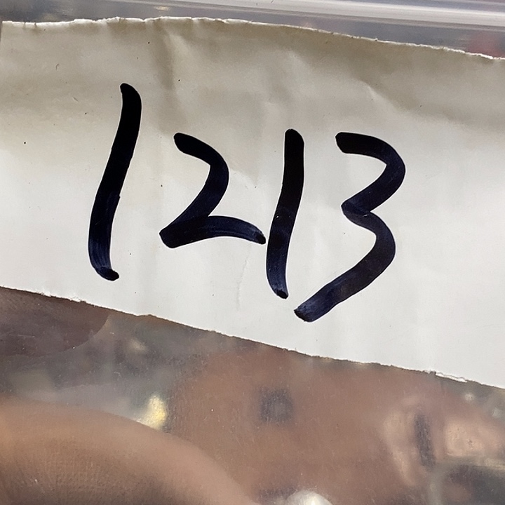 想***切最美古村专属链接