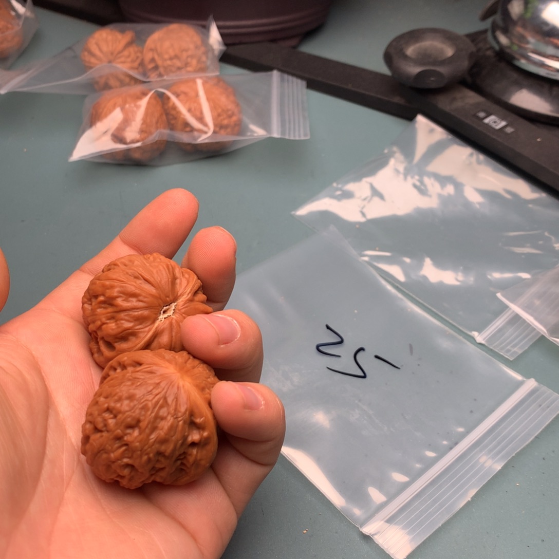 文玩核桃把件用****0铁锤25