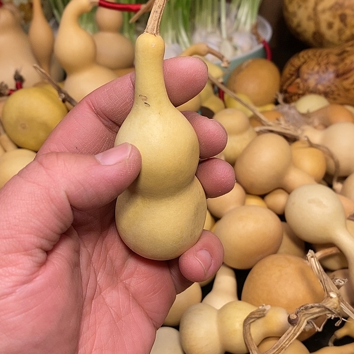 满**气精品葫芦手把葫芦85