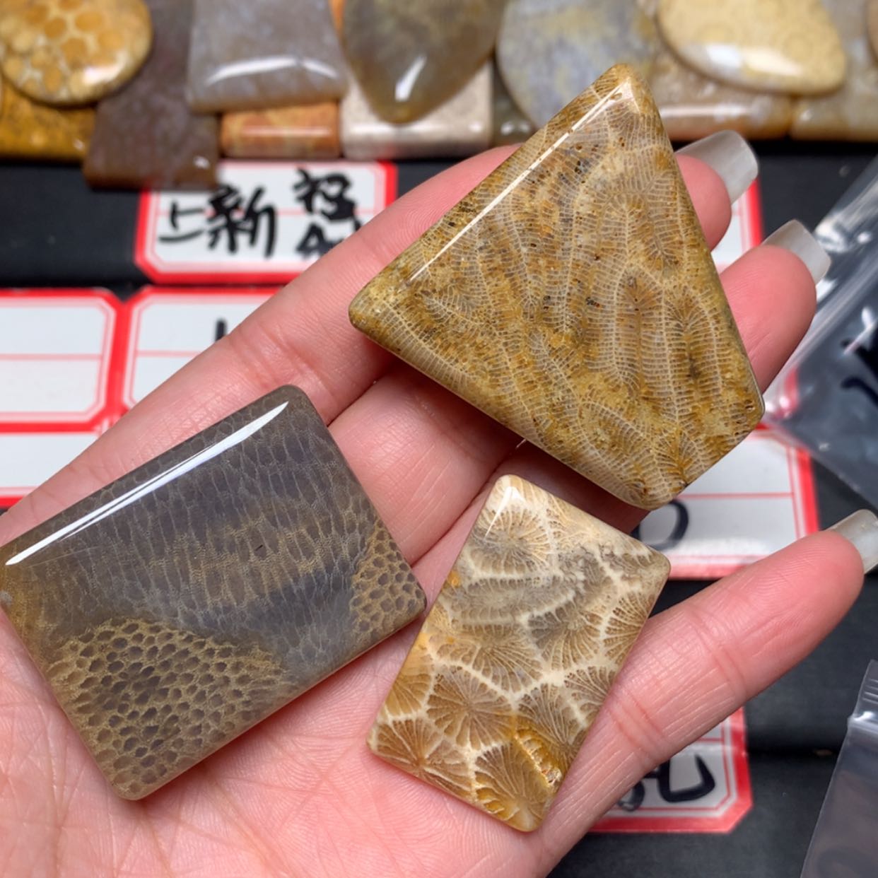 【闪购商品】未镶嵌颈饰硅化玉淘**五