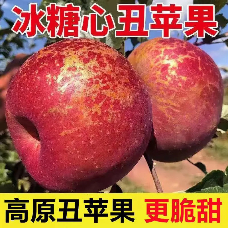 贵州高山农家丑苹果口感脆甜