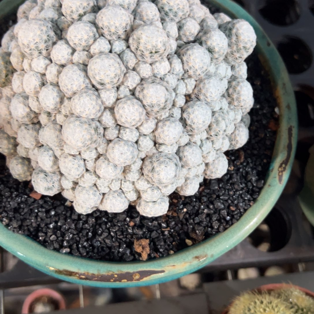 冬***阳哈哈哈哈哈哈哈哈哈哈