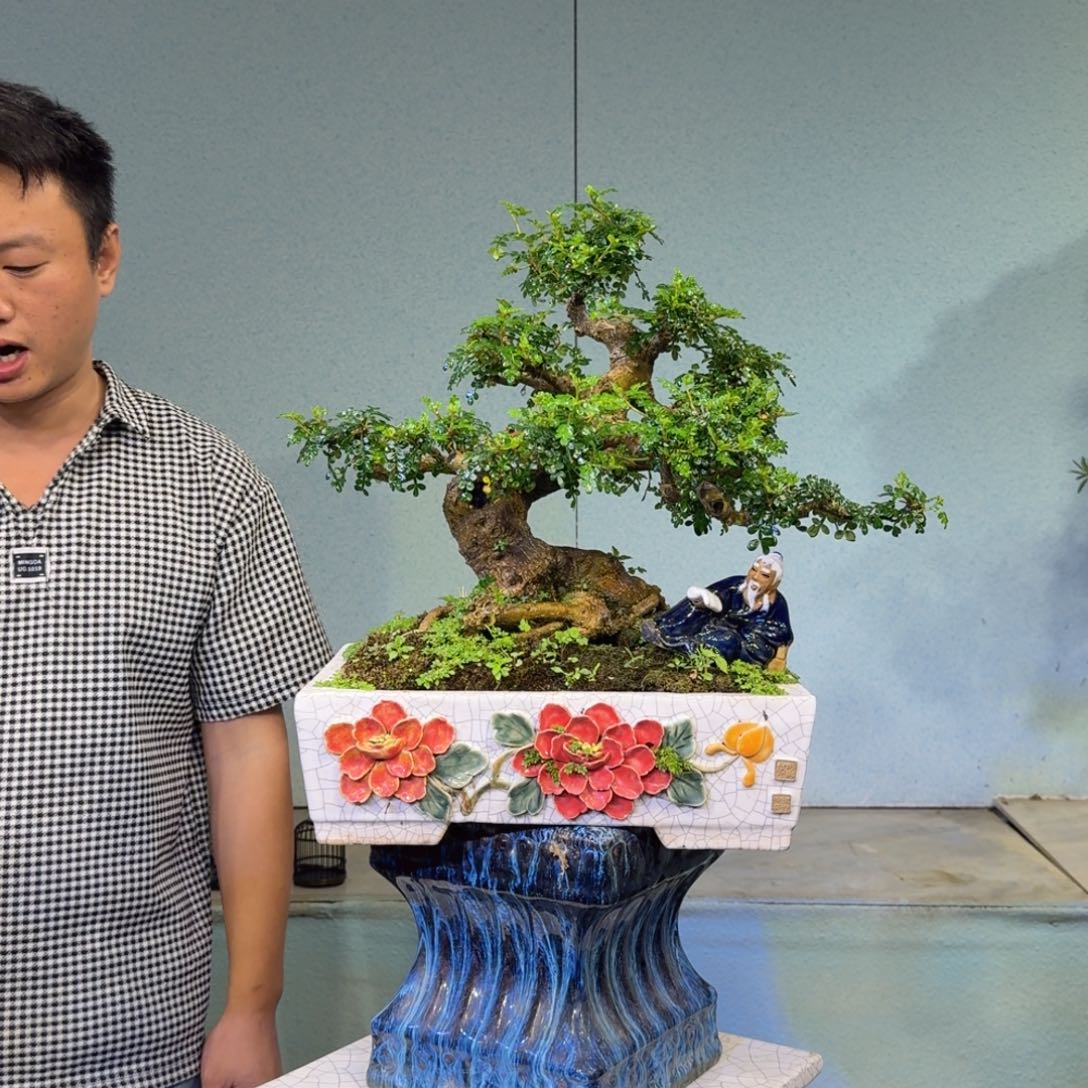 飄***定无花朵清香胡椒木