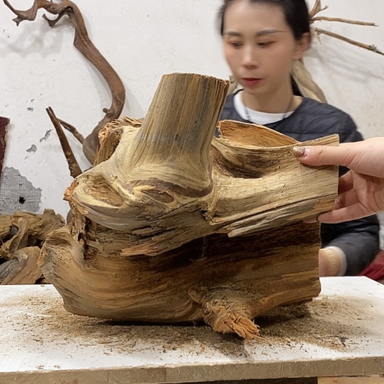 龍***轩柏木我们都是好孩子