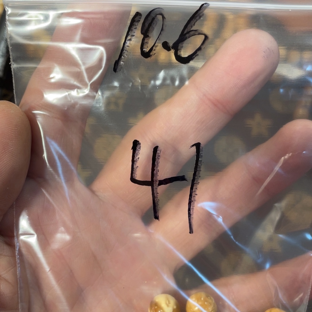 紫金鼠手串10.6实心散珠41