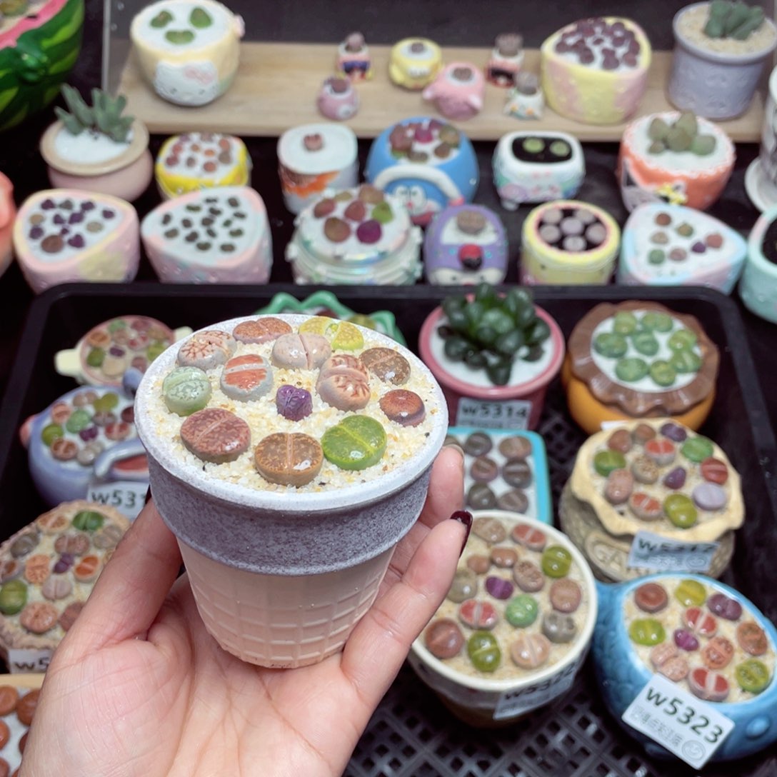 w5326 -零下地区拍保温箱-15支持寄养