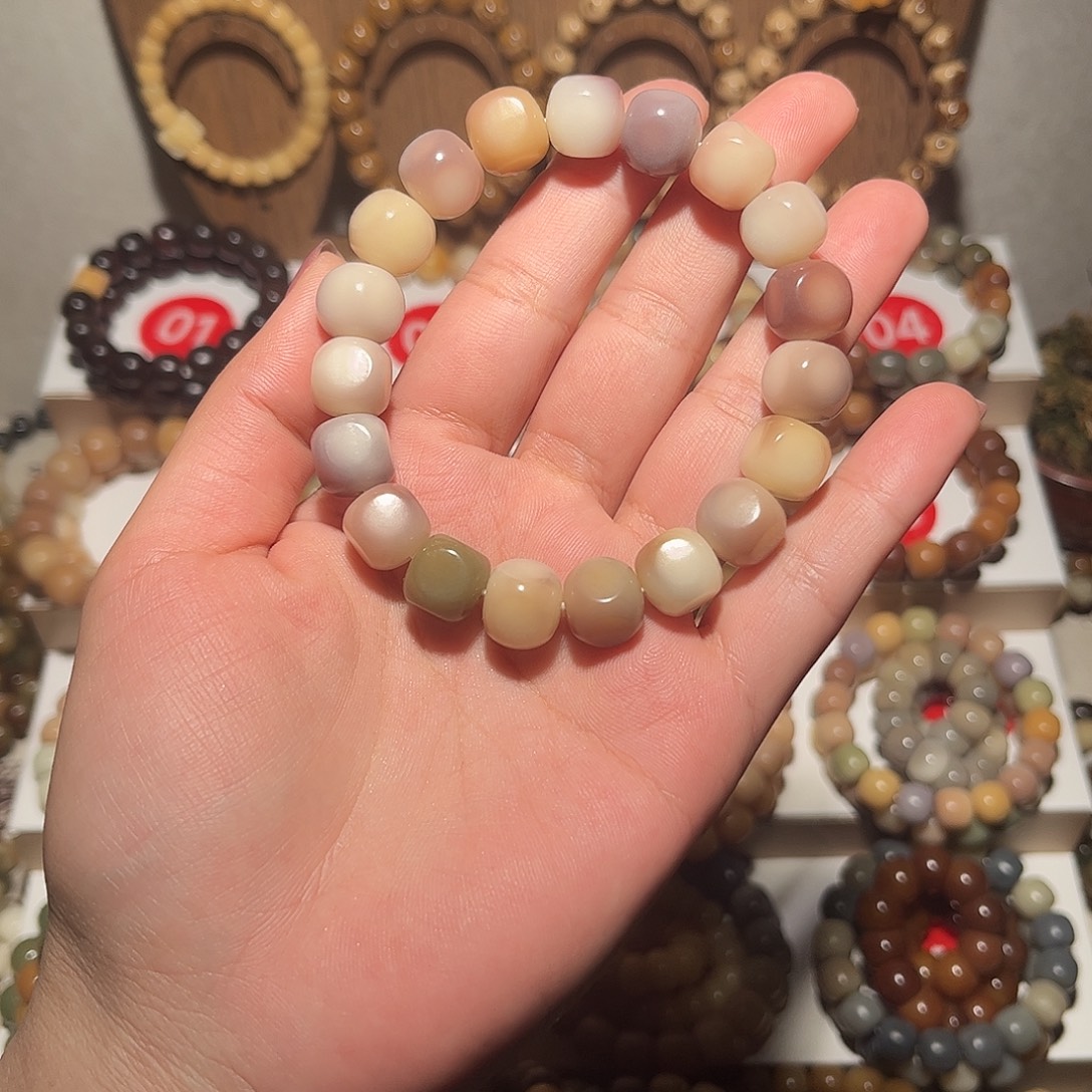 吊坠菩提根/象牙果