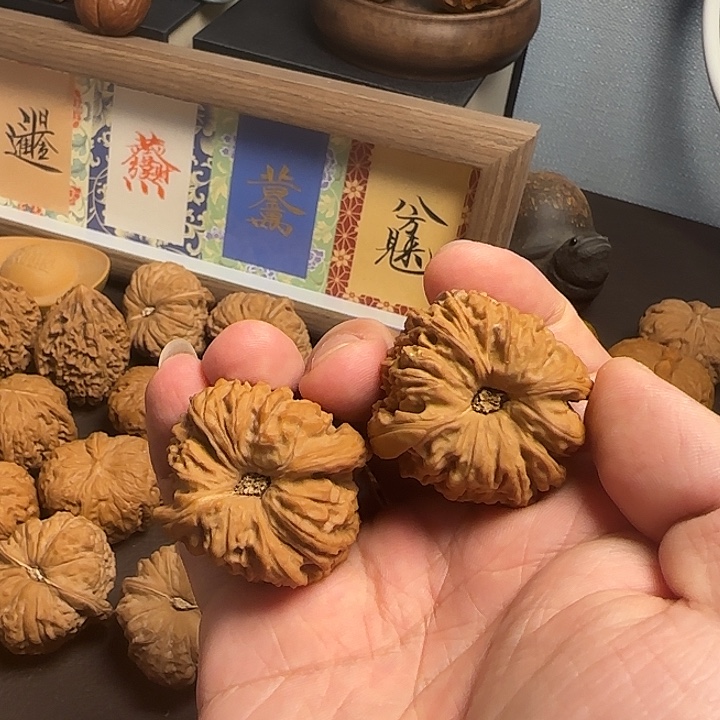 核桃37福利练手南疆石