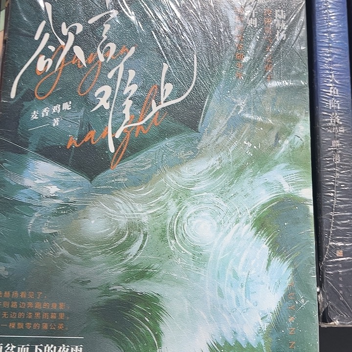 欲言难止全新全套两本带周边