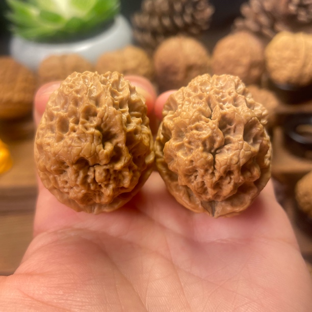 39尺寸  铁皮舍利（云南铁核桃一物一图产地直发）