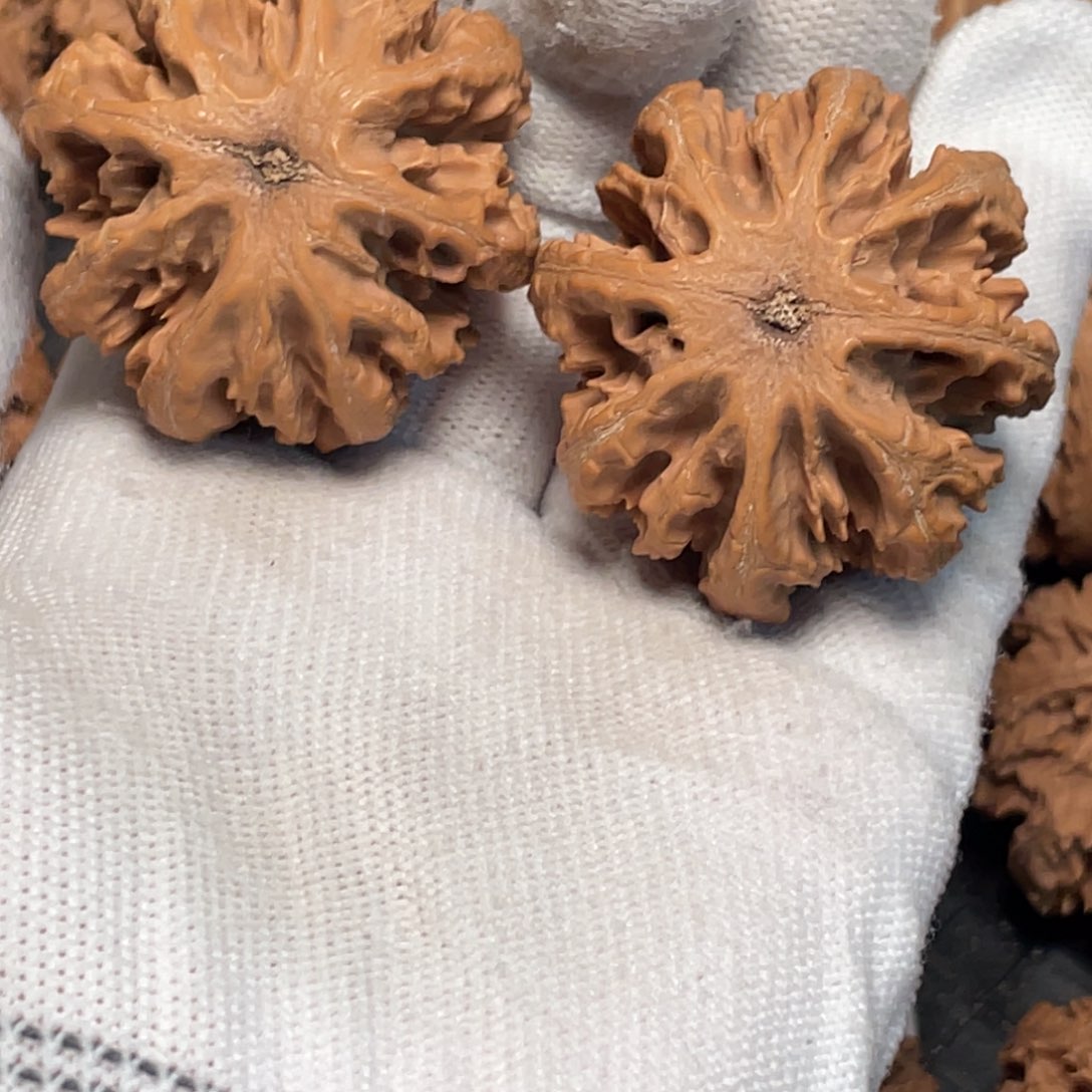 人***生吊坠桃核88 秦岭灯笼野生小众