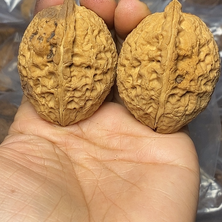 把件文玩核桃云南铁核桃94