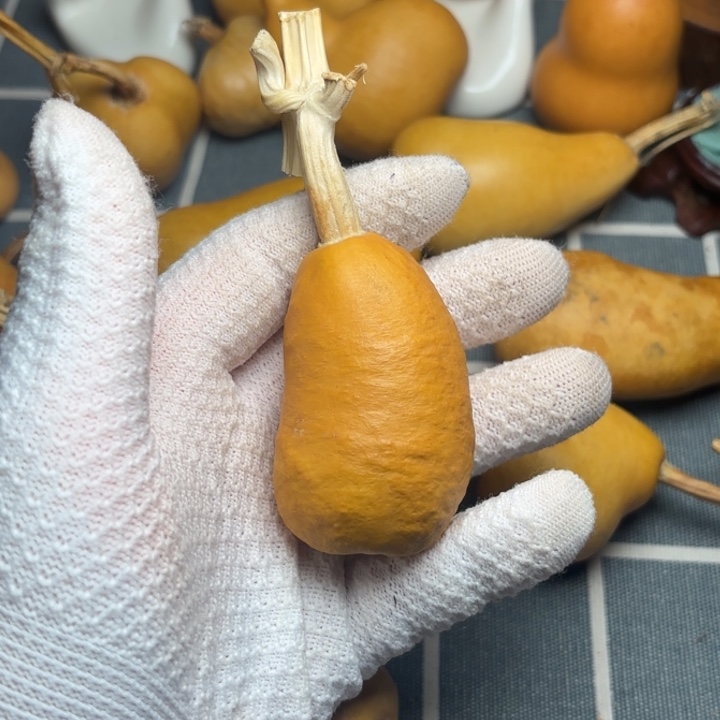 舒***克葫芦66666666666666