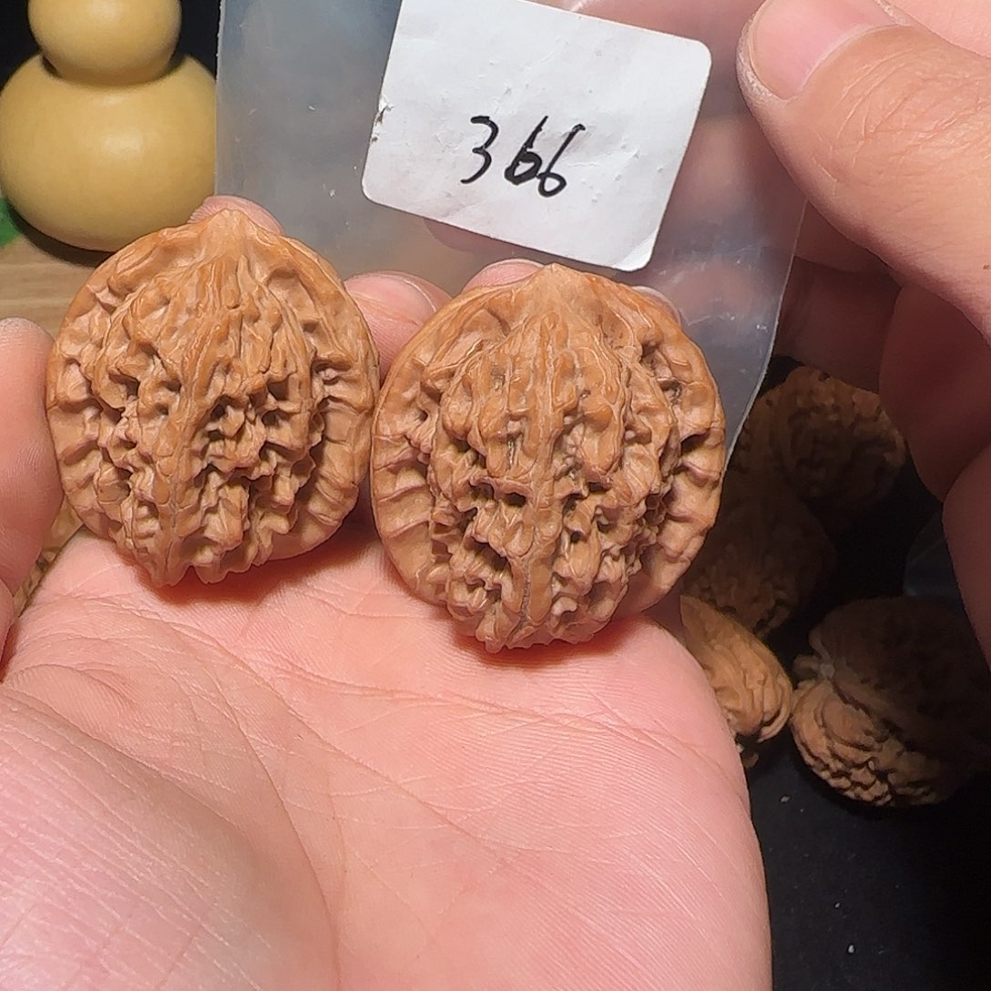 把件文玩核桃366全品38马老四。山地无药果
