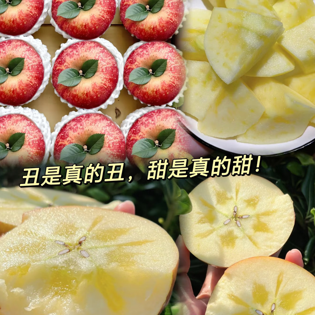 脆甜多汁薄皮丑苹果水果1.8-2斤左右四川省