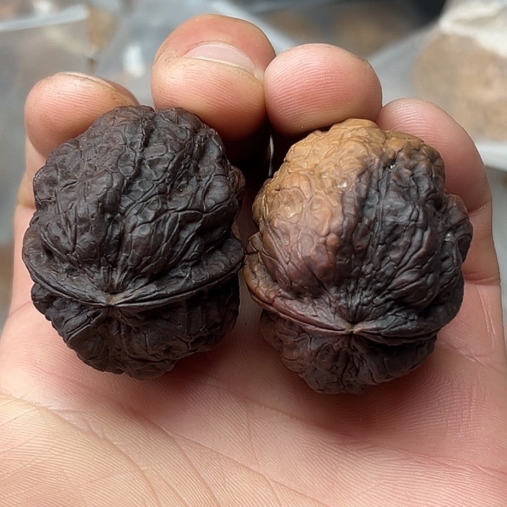 文玩核桃把件4号七彩蛤蟆41尺