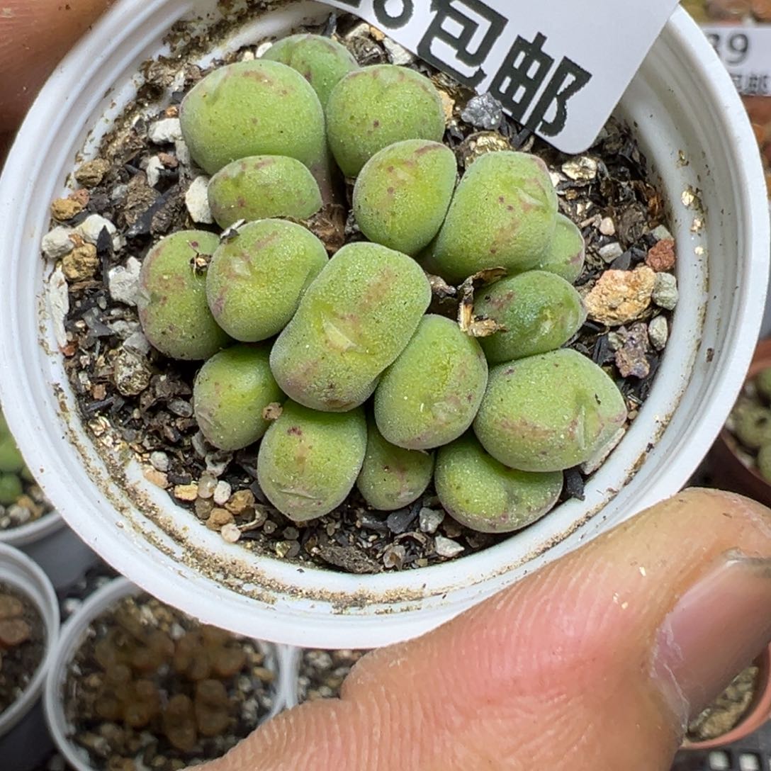 【闪购商品】 940。   