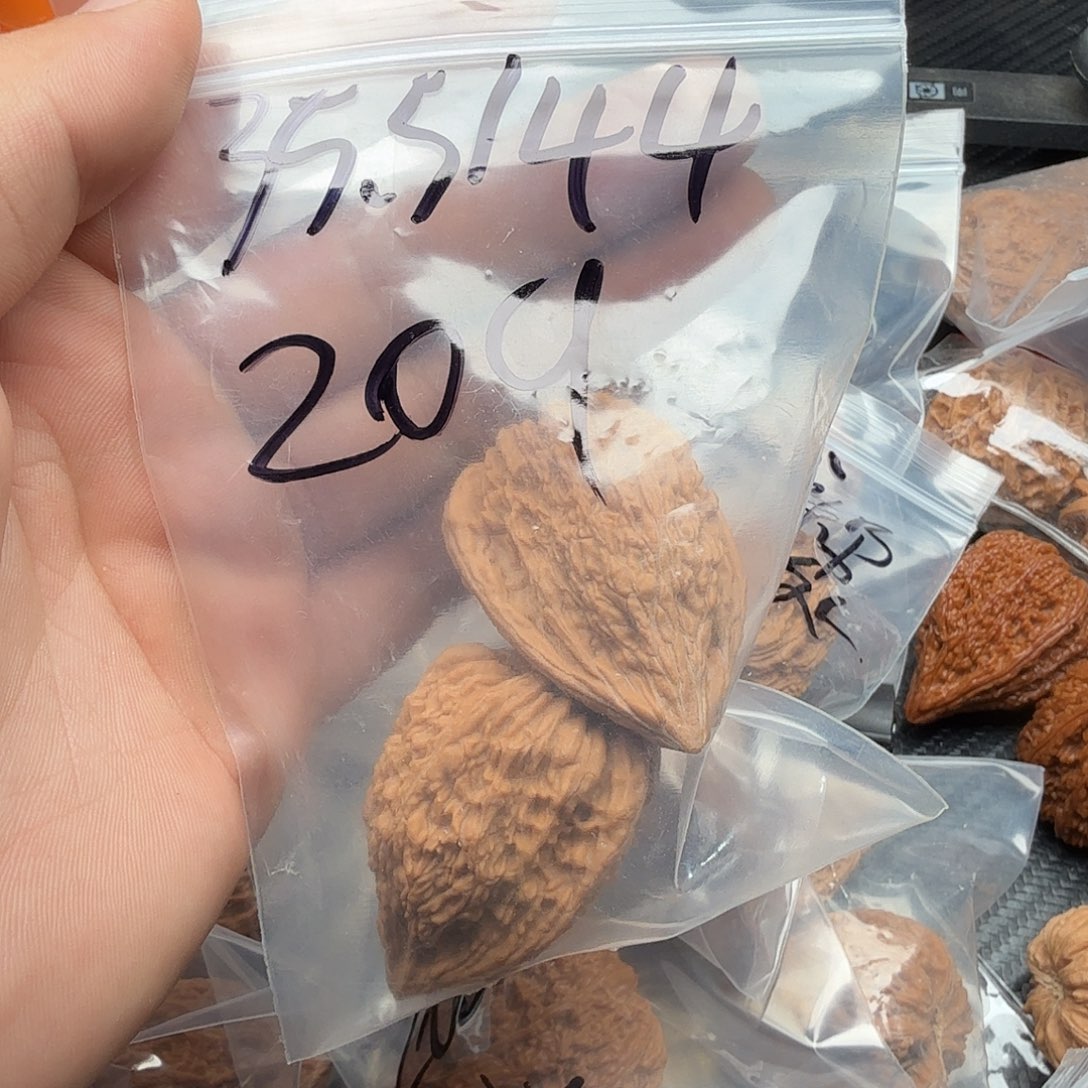 吊坠桃核毕业塔尖凹的核桃