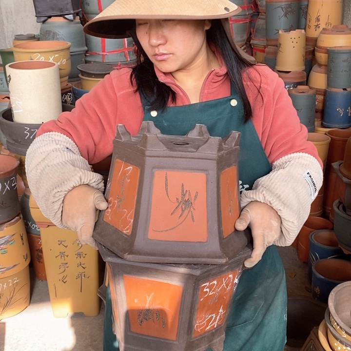 紫砂花盆盆栽花卉苗木种植