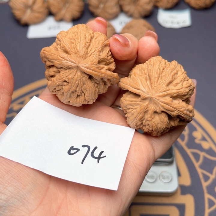 文玩核桃把件43大粗筋 074