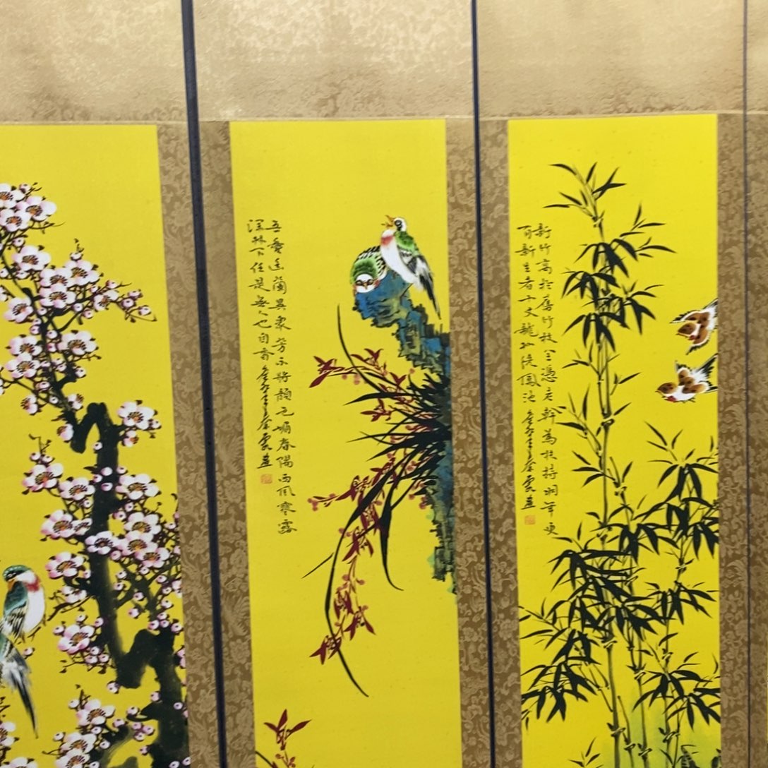 个v哥哥和姐姐很健康很好
