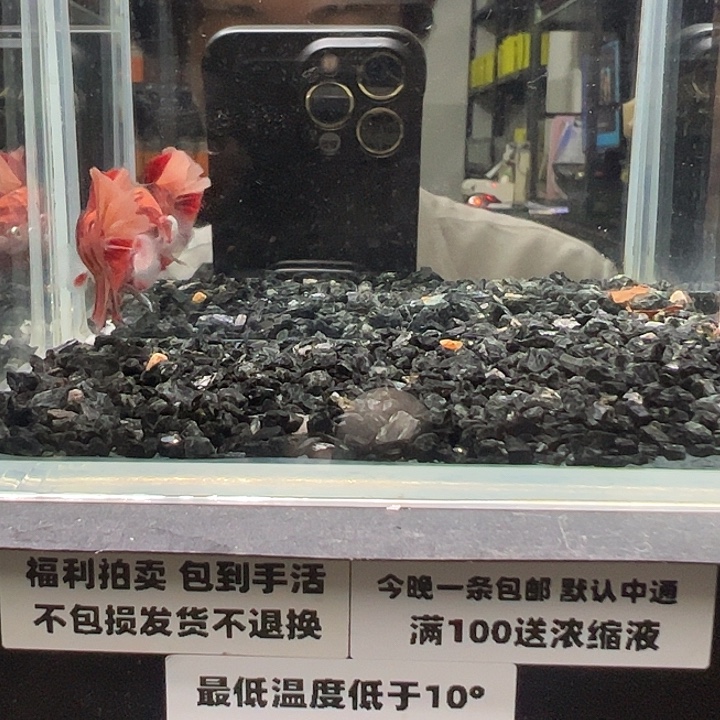 斗鱼跑单拉黑1日47