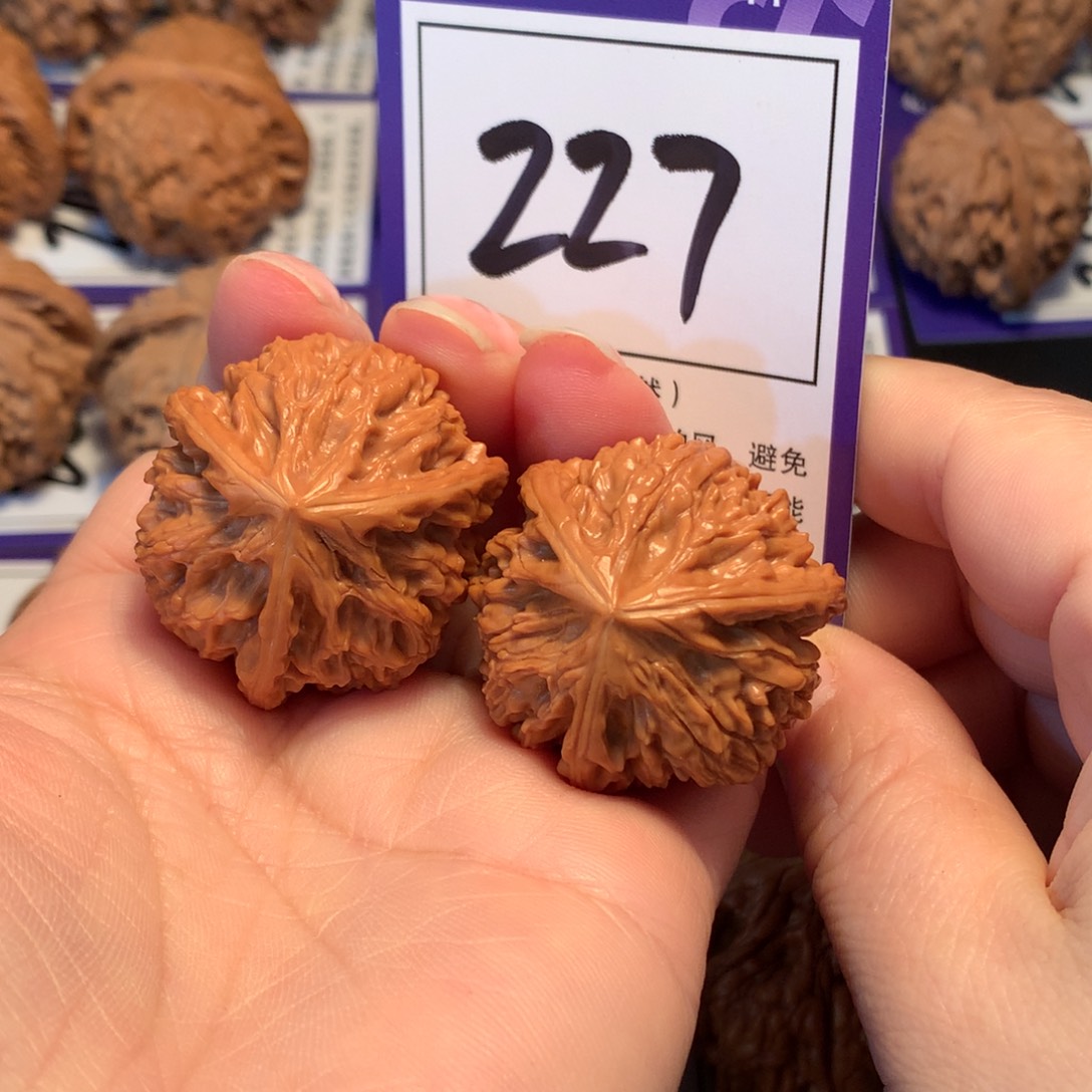 文玩核桃把件227文山三棱3.5